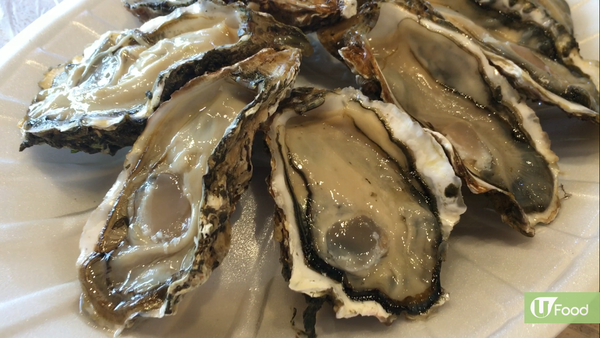 韓國必試！生食識郁八爪魚