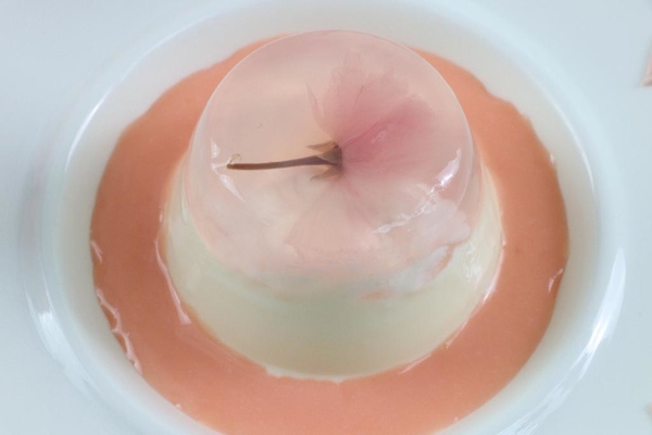 超夢幻~粉紅櫻花奶凍！