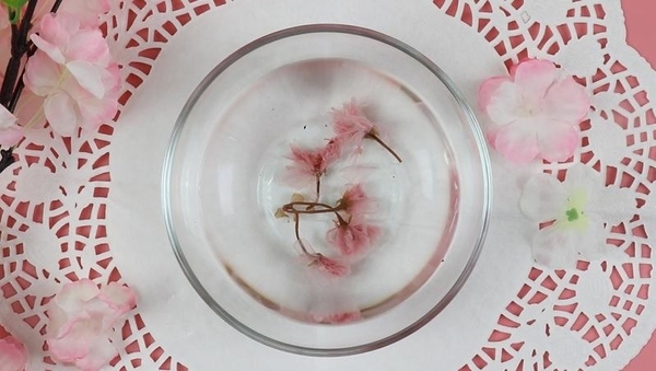 超夢幻~粉紅櫻花奶凍！