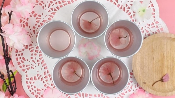 超夢幻~粉紅櫻花奶凍!