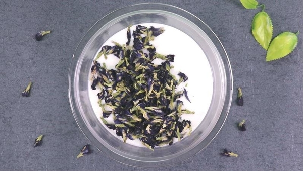 天然的夢幻色！蝶豆花白朱古力千層蛋糕