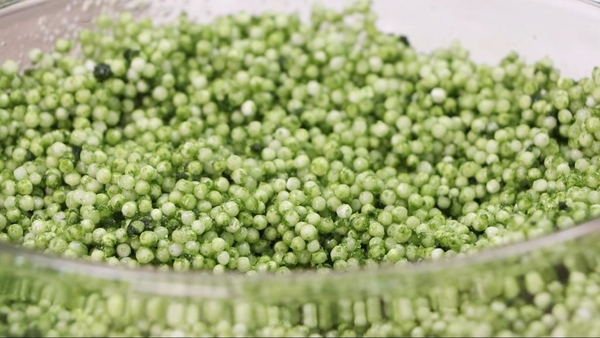 迷你水晶糭二重奏！抹茶紅豆及紫薯味 食譜