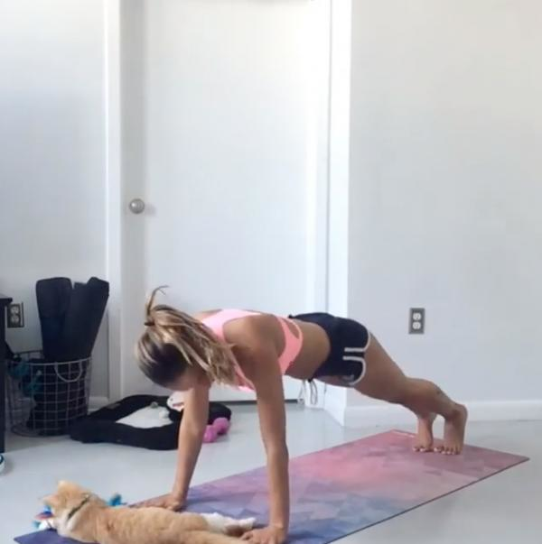 針對粗腰的Plank！4組平板支撐修腰動作甩走肚腩脂肪
