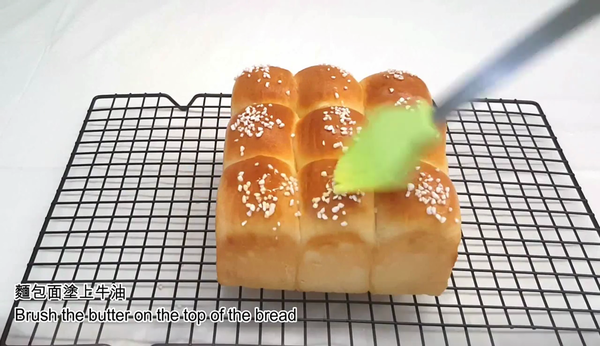 天天新鮮熱辣出爐！鬆軟牛奶麵包食譜