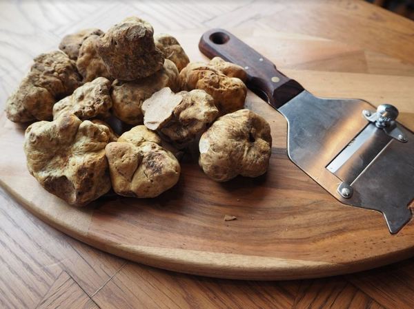 意大利餐廳將推出  白松露季節主題菜色