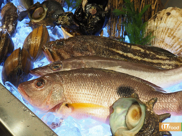 荃灣新開水產浜燒餐廳　推介鮮甜甲羅燒+4食活毛蟹！