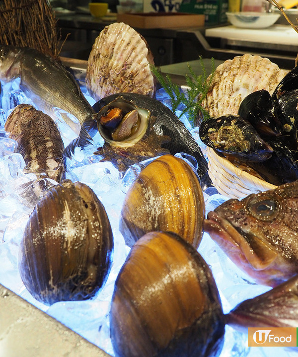 荃灣新開水產浜燒餐廳　推介鮮甜甲羅燒+4食活毛蟹！