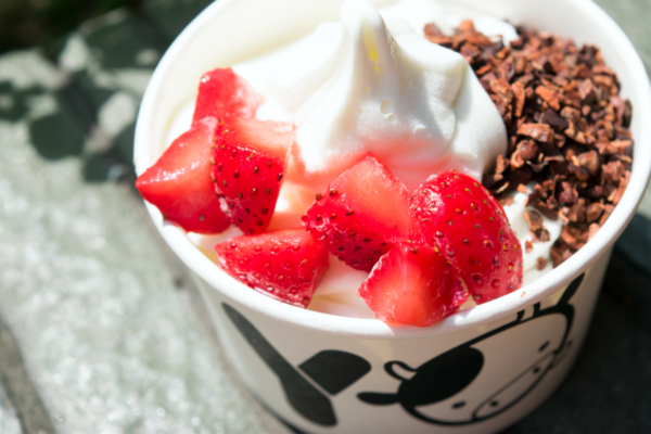 全新甜菊糖口味  Yo Mama免費派100杯乳酪