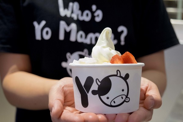 全新甜菊糖口味  Yo Mama免費派100杯乳酪