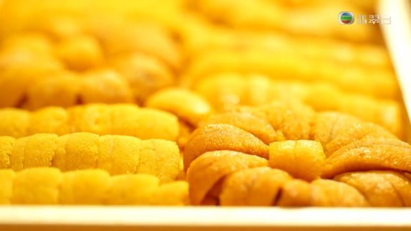 《周遊東京》日本潮食攻略　豪食鮮甜海膽宴！