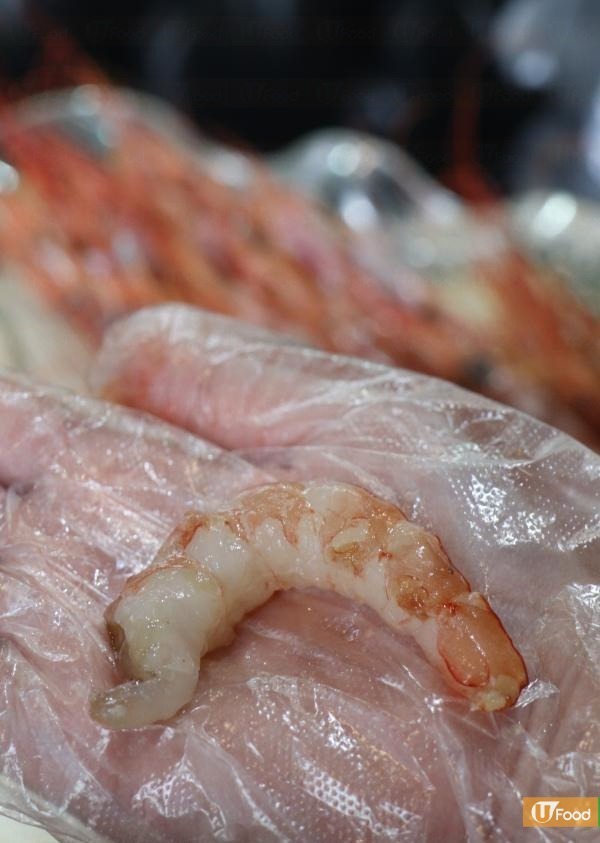 深水埗$88抵食甜蝦放題　加$30升級任食鮮甜赤蝦刺身