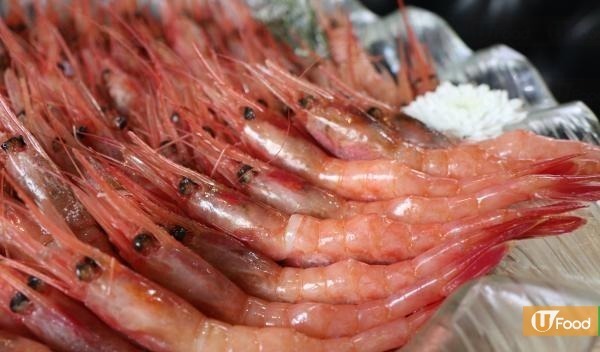 深水埗$88抵食甜蝦放題　加$30升級任食鮮甜赤蝦刺身