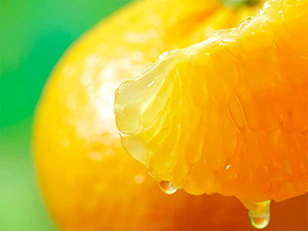 日本Häagen-Dazs夏日口味新登場　柑橘味／白桃紅茶撻味雪糕