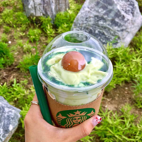 韓國Starbucks人氣特飲再度回歸　清新牛油果乳酪