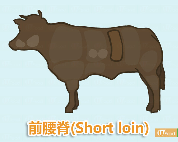 牛肉小百科！唔同部位要食唔同生熟度？