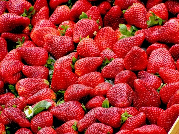 高蛋白質高纖低卡 10款水果降食慾有助減磅