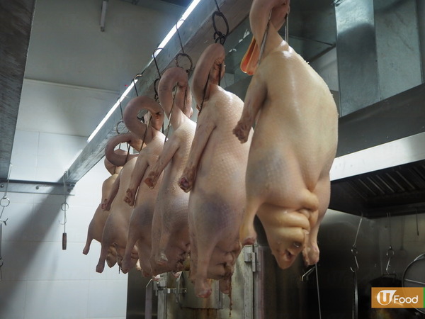 【深水埗美食】深水埗新開燒味飯店  招牌黑椒燒鵝香口入味