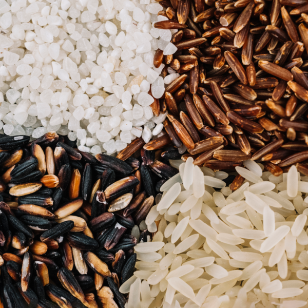 【米的種類】食飯食得更健康！教你分清紅米、糙米、紫米、白米營養價值