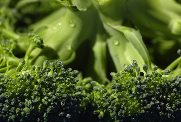 7款含天然毒素蔬果可致中毒 食安中心建議減低風險方法
