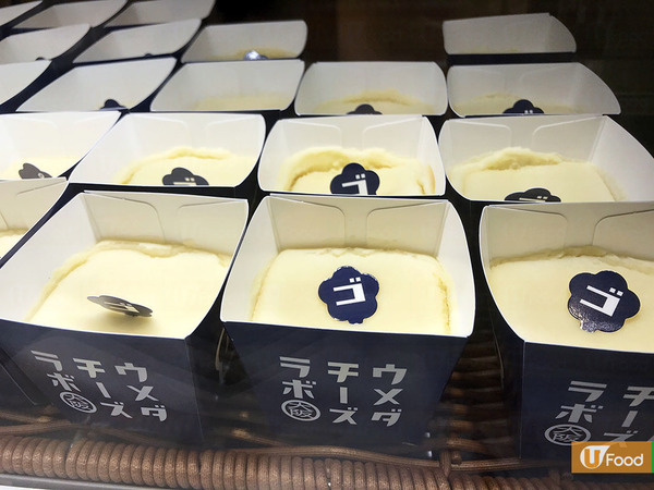 【大阪美食】大阪梅田芝士實驗室　6級濃度芝士蛋糕／爆餡芝士撻