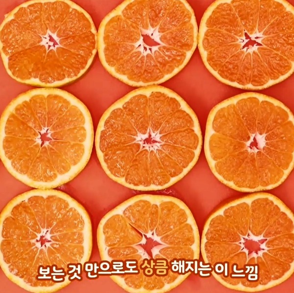 【韓國美食】韓國胖胖瓶飲料Binggrae新推柑橘牛奶 原乳+濟州島柑橘濃縮汁