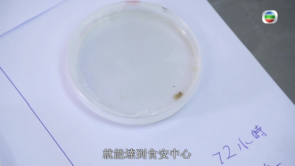 【生蠔細菌】TVB節目《香港原味道》介紹流浮山生蠔 食安中心：受污染水域生長的蠔易積聚細菌
