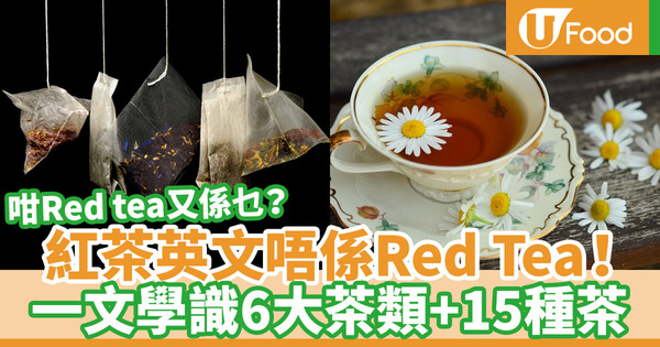 【茶種類英文】餐廳叫茶英文點講？15款茶類實用英語教學
