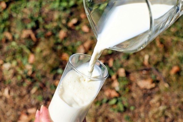 【鈣質食物表】補充鈣質唔一定要飲牛奶食奶類製品！10款豐富鈣質食物助你補鈣