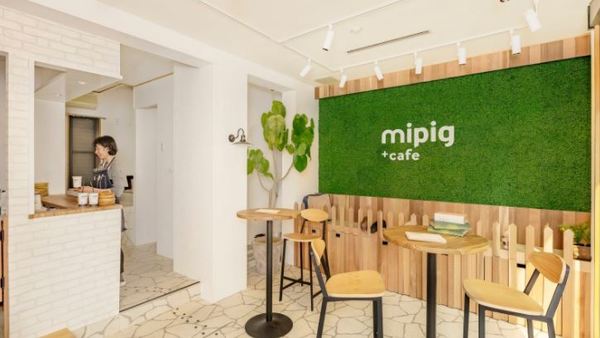 【日本美食】日本東京首間迷你豬咖啡店mipig cafe 提供可愛豬仔甜品