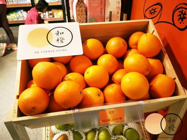 【香橙】堅持不打蠟！港商自建農莊種純天然鮮橙 清甜多汁又無核和橙