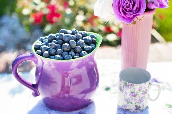 【藍莓減肥】日本大熱減肚腩恩物　細數藍莓六大功效