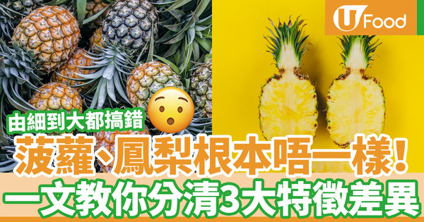 【菠蘿VS鳳梨】菠蘿、鳳梨原來根本不一樣！一文教你看清3大分別特徵