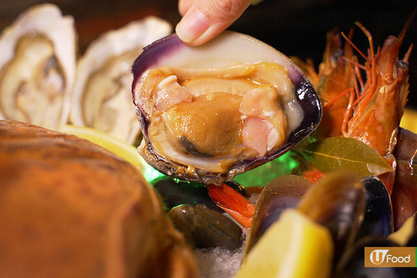 【北角美食2019】北角天后蠔酒吧新開張　生蠔買一送一／自設魚缸養新鮮游水麵包蟹