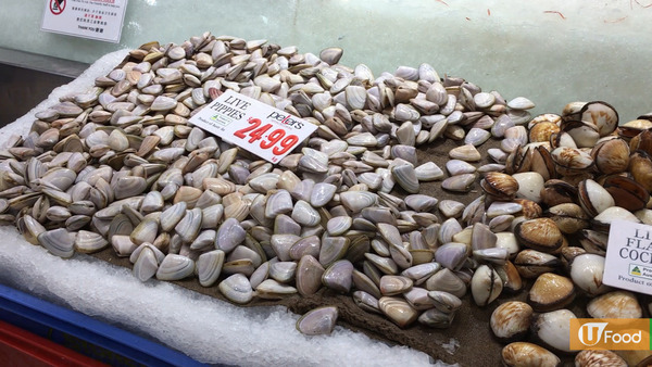 【悉尼美食】澳洲悉尼魚市場Sydney Fish Market必食推介  $10生蠔／即燒芝士扇貝 ／龍蝦