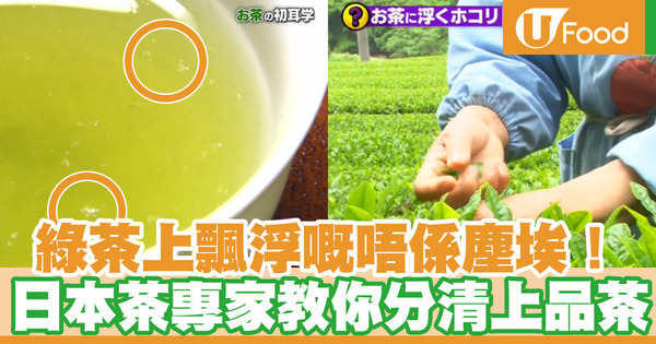 【綠茶】浮在綠茶上的不是塵埃！有「塵埃」代表好茶！