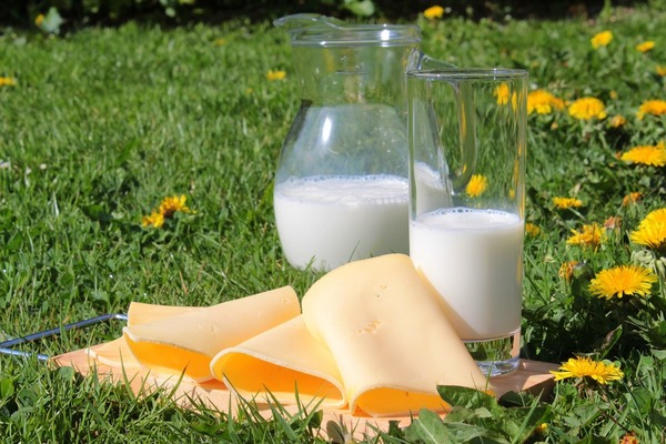 【補鈣方法】鈣質有助燃脂減磅瘦腰 ！研究：每日可吃3份低脂／脫脂奶類製品