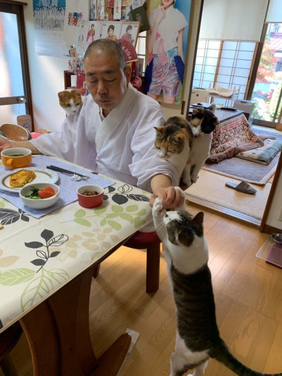 【日本美食】日本寺廟主持與4隻愛貓食早餐 乖乖守規矩等齊人食飯