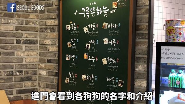 【韓國Cafe】首爾大型狗狗Cafe「cloud with sky」 購買一杯飲品無限時同狗狗玩
