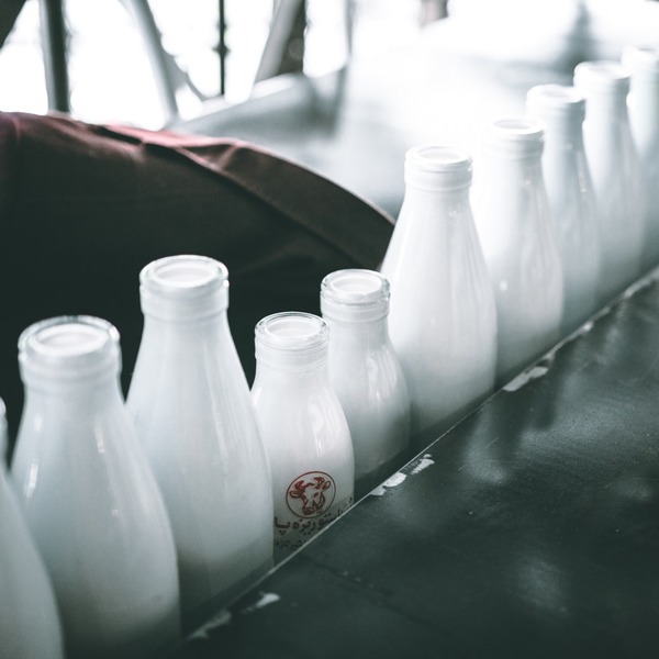 【牛奶VS鮮奶】高鈣低脂牛奶原來不是鮮奶？教你如何分清牛奶與100%真正純鮮奶分別