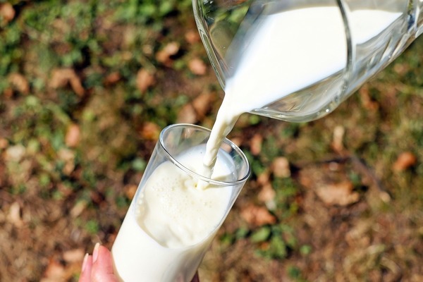 【牛奶】牛奶上的數字解密 北海道3.6牛乳真係好飲啲？