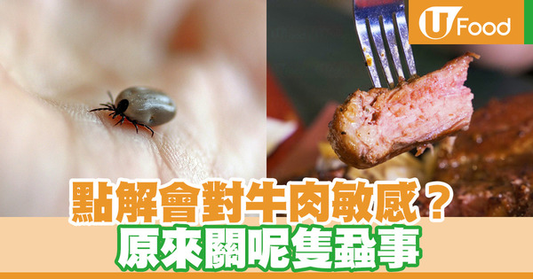【食物敏感】被蝨咬會對牛肉敏感？研究：被蜱蟲咬後免疫系統會改變產生肉類敏感