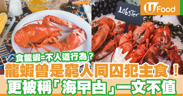 【飲食熱話】龍蝦從前竟是一文不值的「海曱甴」 更是窮人和囚犯的主要食糧？