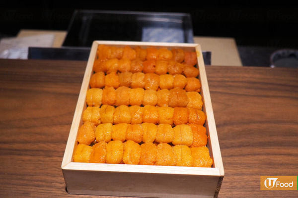 【海膽營養】探索海膽秘密!11個揭開海膽營養與食用注意事項