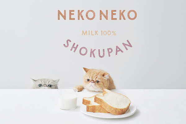 【東京美食】日本麵包店新推出貓貓造型多士　牛奶／朱古力／芝士／紅豆味