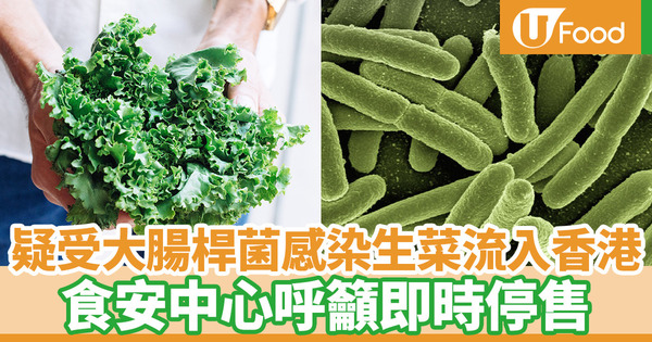【食物安全】美國蘿蔓生菜疑受大腸桿菌污染　食安中心籲立即停售／切勿進食