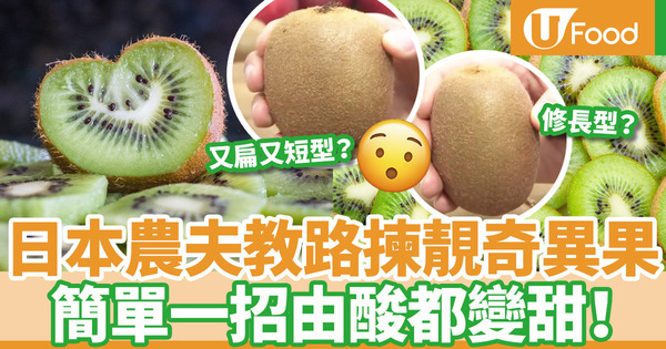 【奇異果變甜】日本農夫教路選擇超甜奇異果  簡單一招由酸都變甜！
