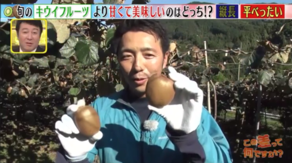 【奇異果變甜】日本農夫教路選擇超甜奇異果  簡單一招由酸都變甜！