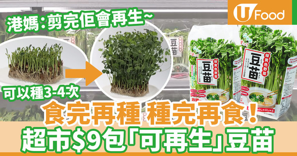 【豆苗價格】香港超市都買到！$9可再生豆苗食完再種無限食