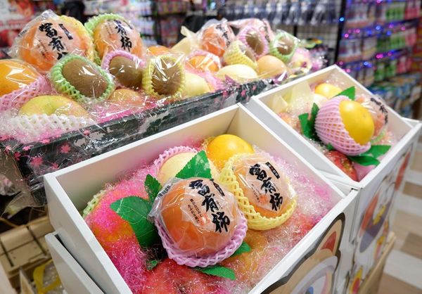 【水果網購】新年水果禮盒格價一覽！日本熊本縣士多啤梨／香印青提／晚白柚／蜜柑／蜜瓜