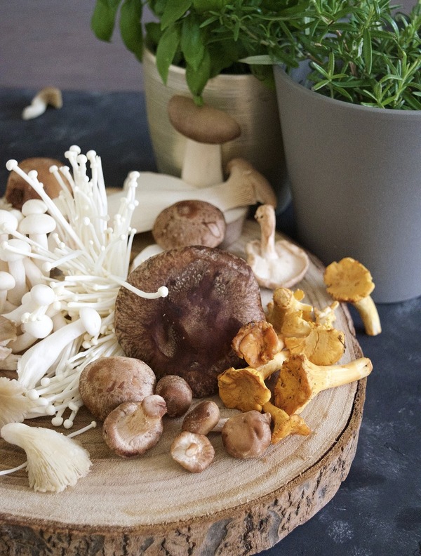【金菇營養】金菇10大食用好處和營養價值 改善手腳冰冷／補腦／助減肥